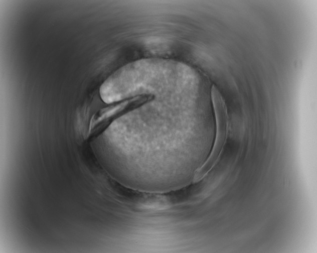 X0000088451298200706051259