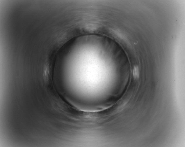 X0000088451299200706051259