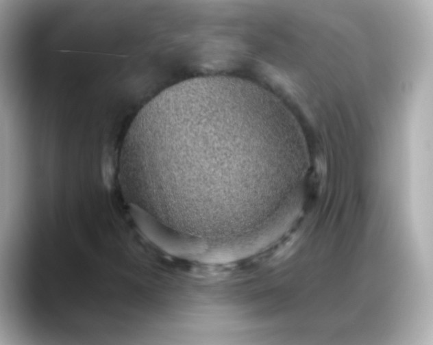 X0000088451300200706051259
