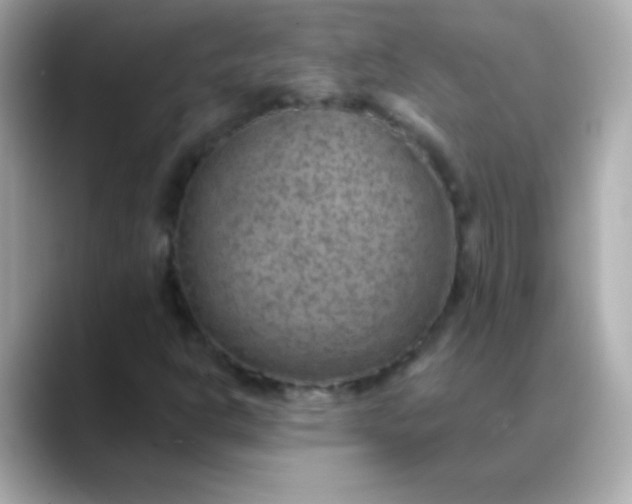 X0000088451302200706051259
