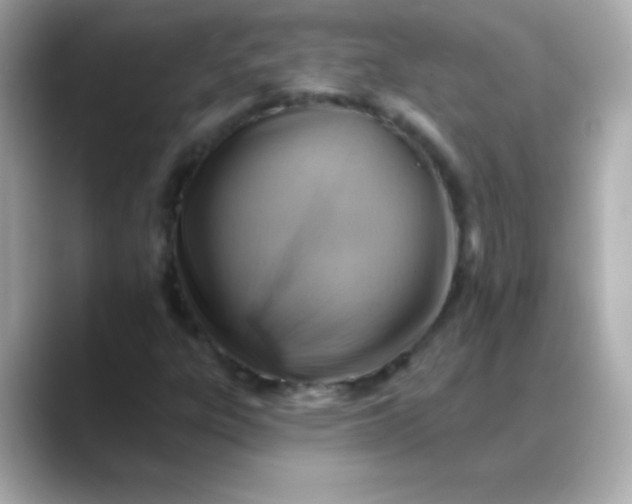 X0000088451303200706051259
