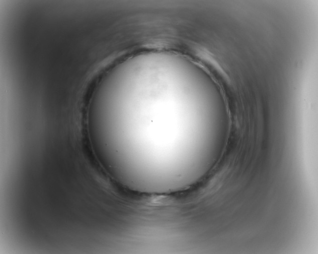 X0000088451304200706051259