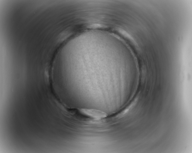 X0000088451305200706051259