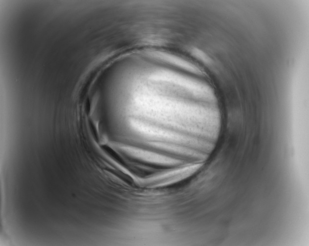 X0000088451307200706051259