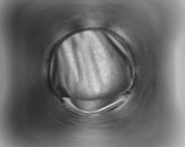 X0000088451309200706051259