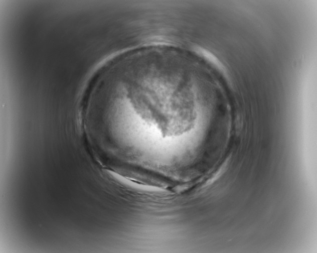 X0000088451310200706051259