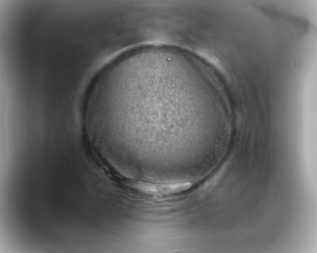 X0000088451311200706051259