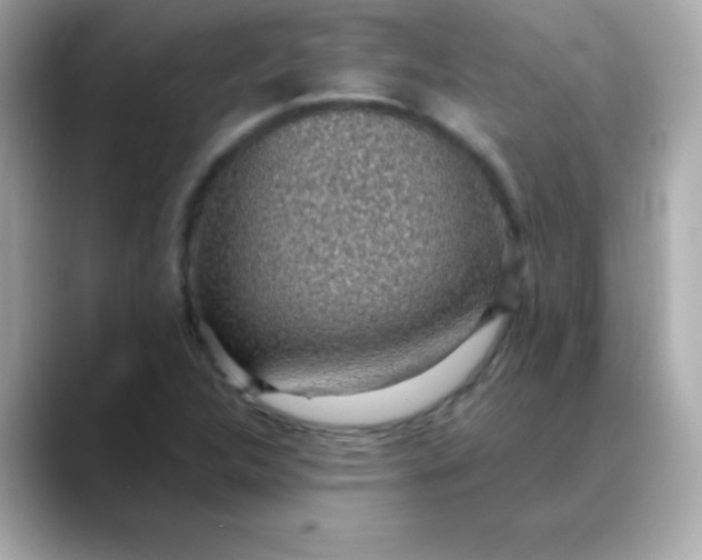 X0000088451312200706051259