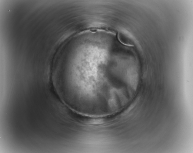 X0000088451313200706051259