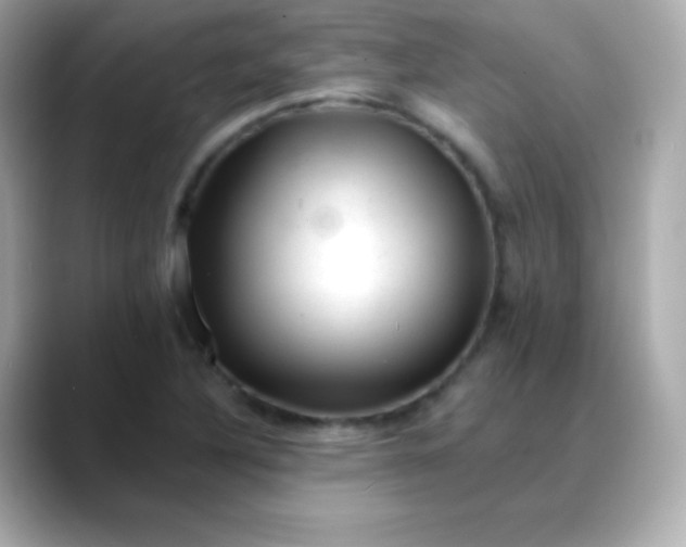 X0000088451316200706051259