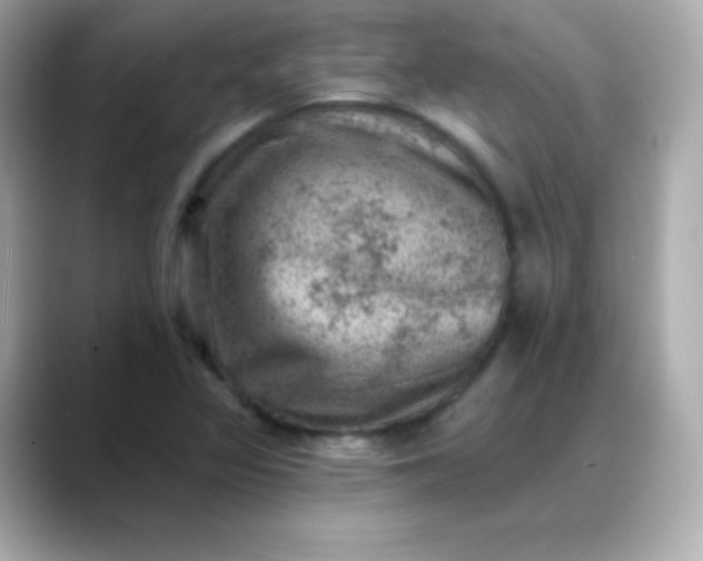 X0000088451317200706051259