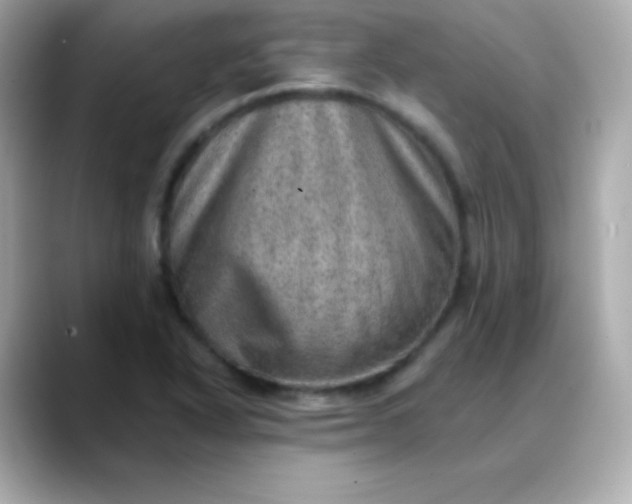 X0000088451318200706051259