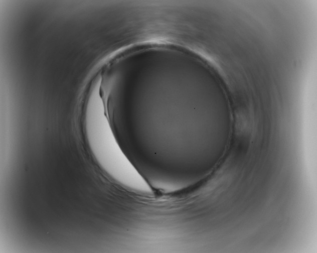 X0000088451319200706051259