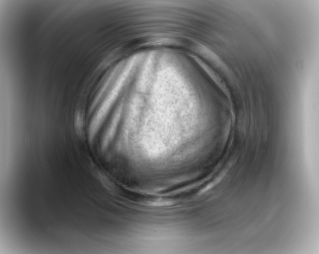 X0000088451321200706051259
