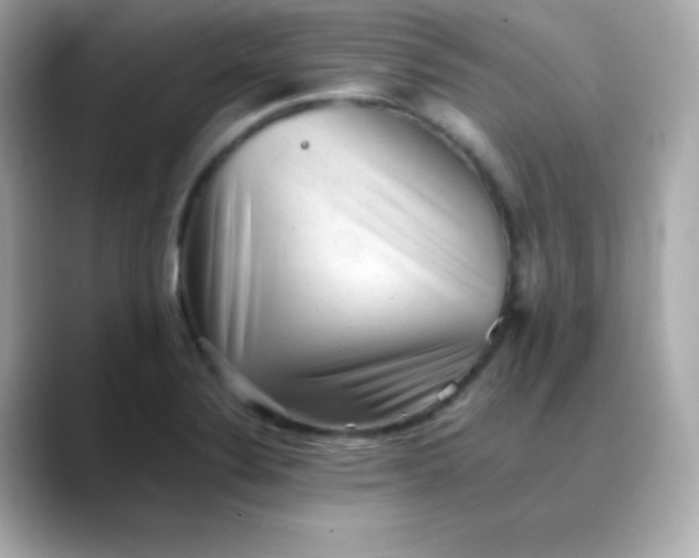 X0000088451324200706051259