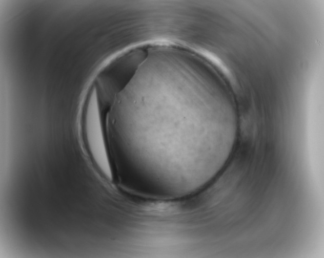 X0000088451327200706051259