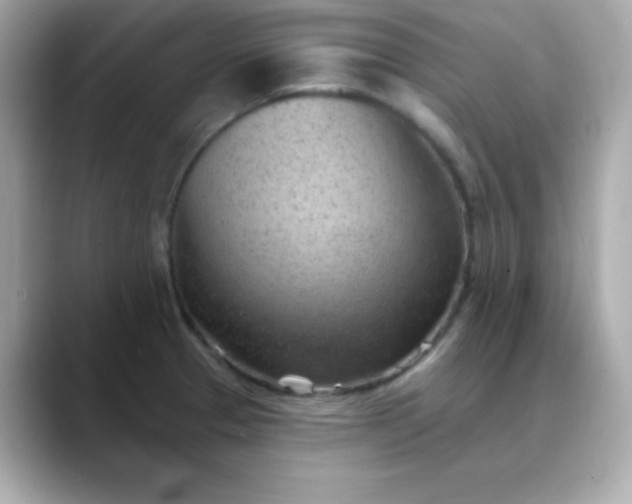 X0000088451329200706051259
