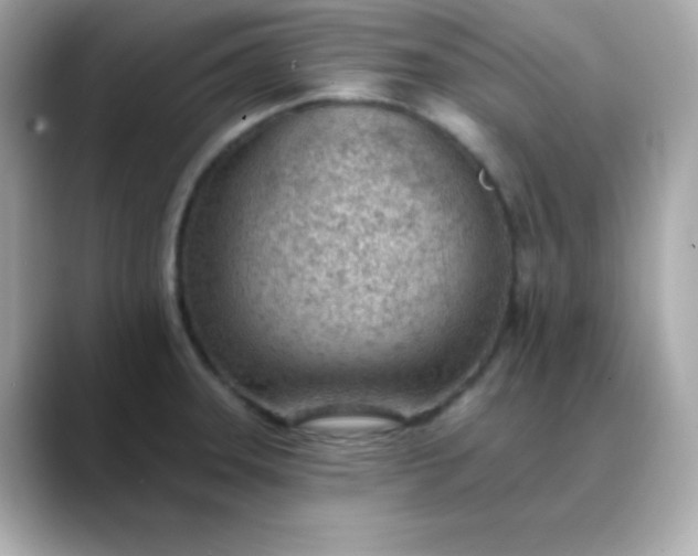 X0000088451331200706051259