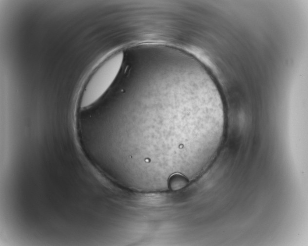 X0000088451333200706051259