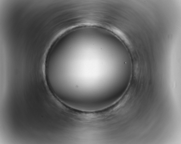 X0000088451334200706051259