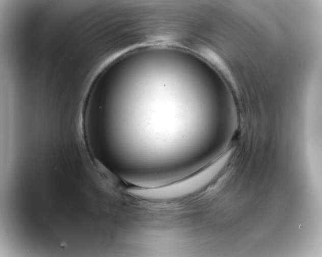 X0000088451336200706051259