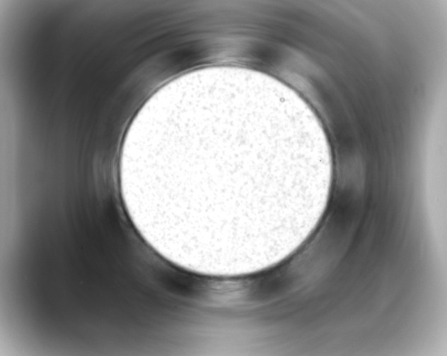 X0000088451338200706051259