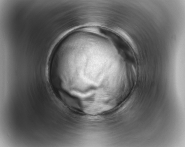 X0000088451340200706051259