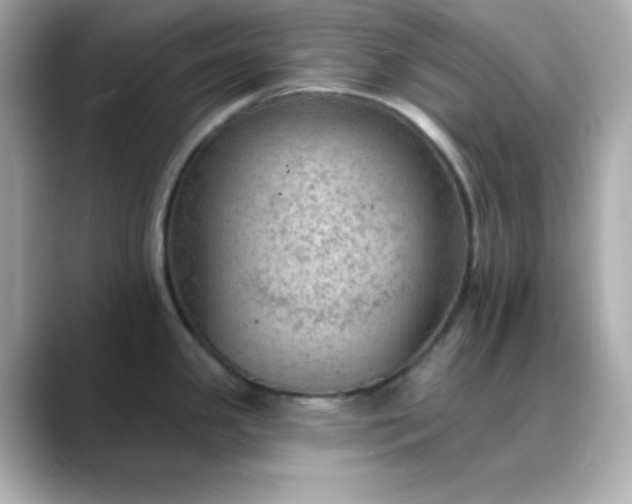 X0000088451341200706051259