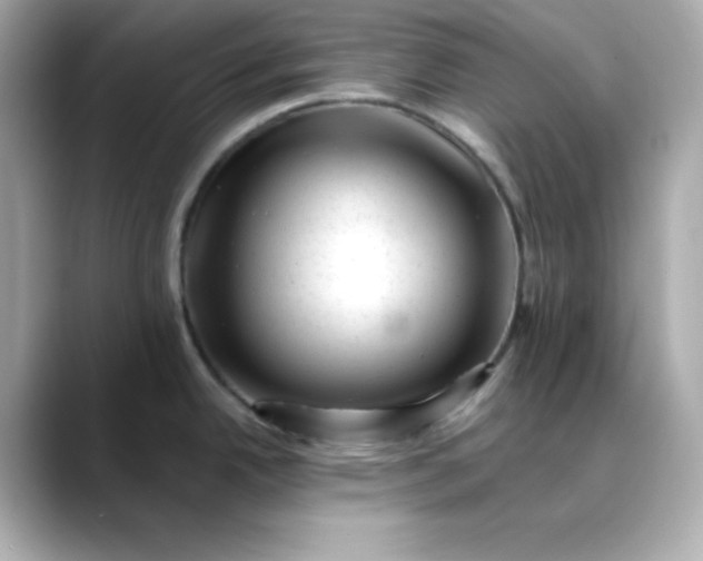 X0000088451342200706051259