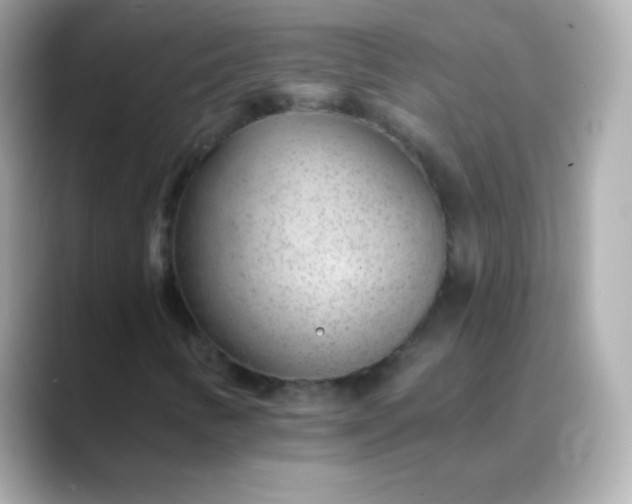 X0000088451346200706051259