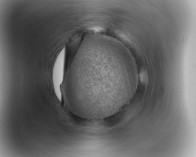 X0000088451347200706051259
