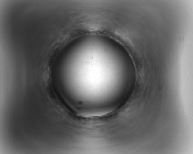 X0000088451349200706051259