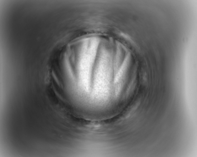 X0000088451350200706051259