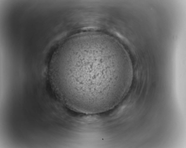 X0000088451351200706051259