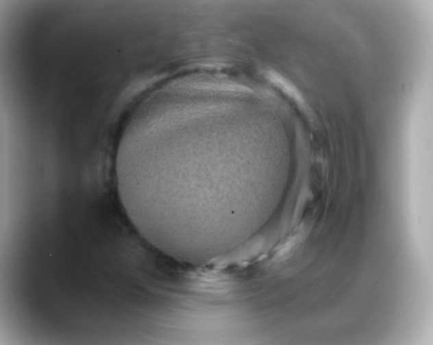 X0000088451352200706051259