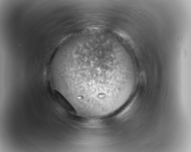 X0000088451353200706051259