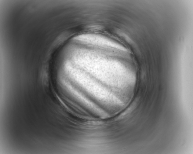 X0000088451354200706051258