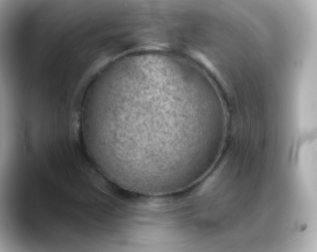 X0000088451355200706051258