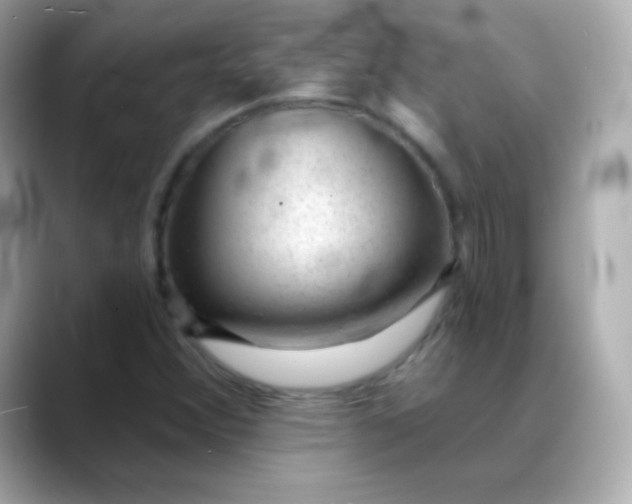 X0000088451356200706051258