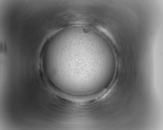 X0000088451357200706051258