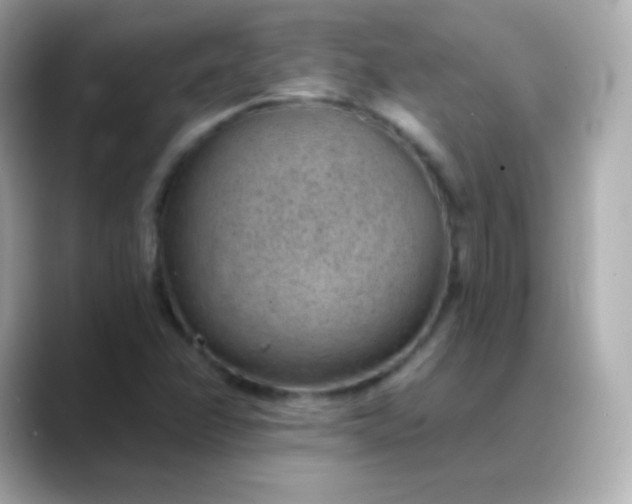 X0000088451358200706051258