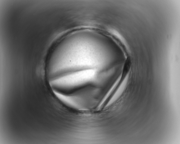 X0000088451360200706051258