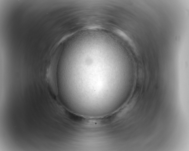X0000088451361200706051258