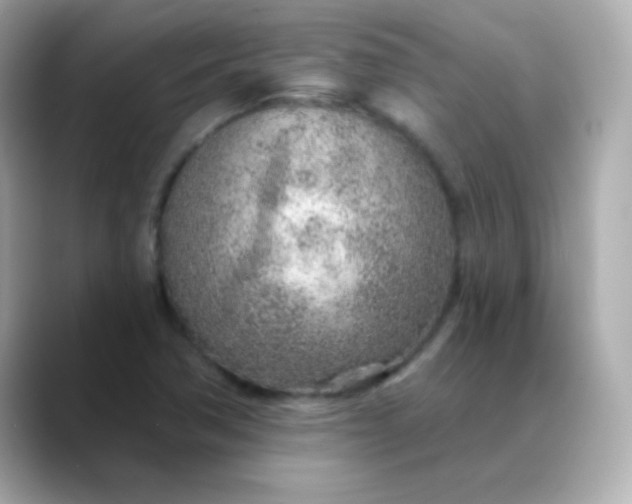 X0000088451362200706051258