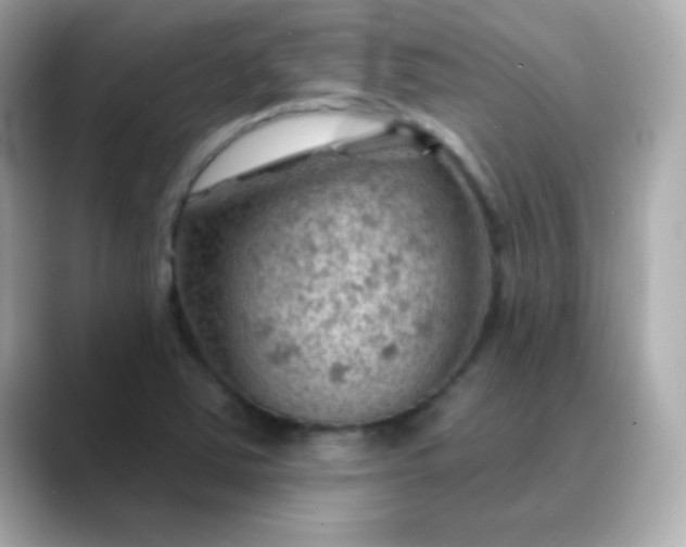 X0000088451363200706051258