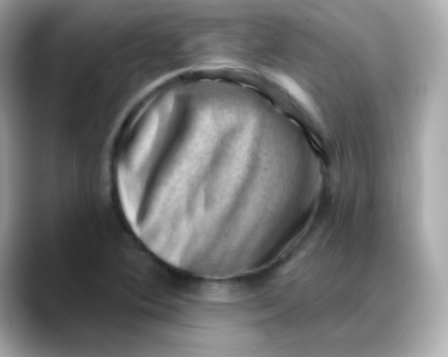 X0000088451364200706051258