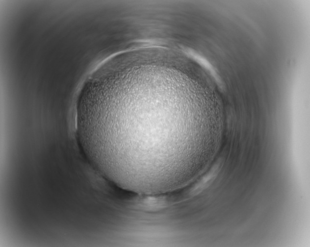X0000088451365200706051258