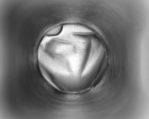 X0000088451366200706051258