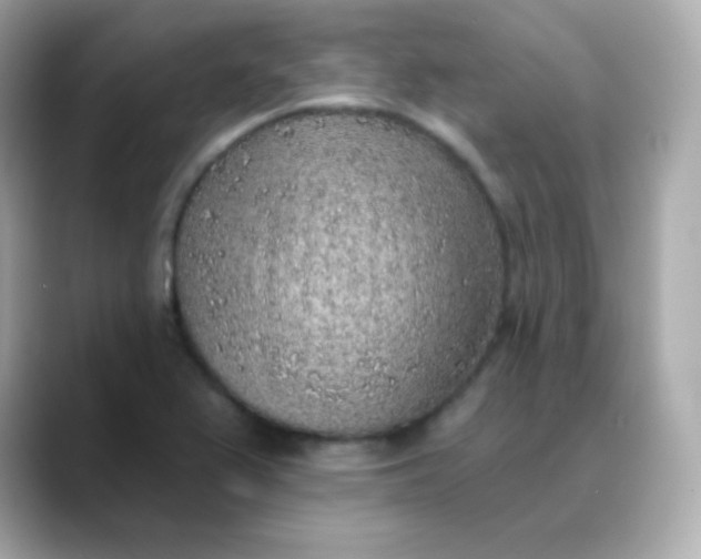 X0000088451367200706051258