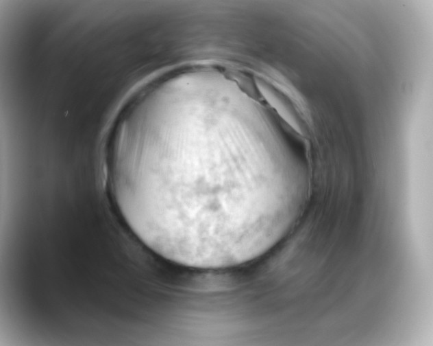 X0000088451368200706051258